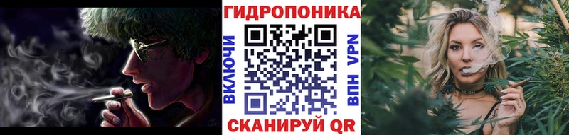 Бошки Шишки Полярные Зори
