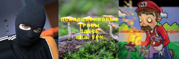 PSILOCYBIN Алзамай