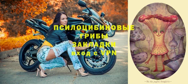 PSILOCYBIN Алзамай