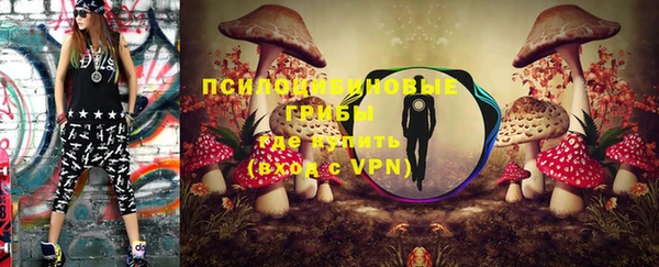 PSILOCYBIN Алзамай