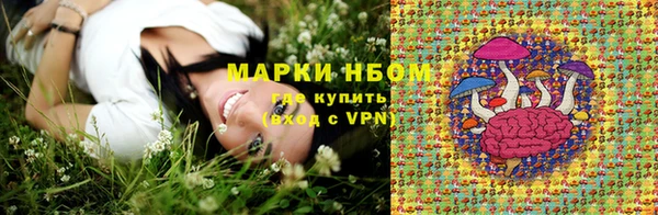 шишки Алексин